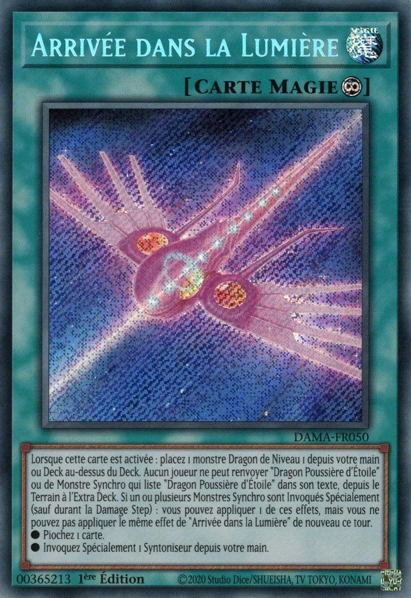 Arrivée dans la Lumière : DAMA-FR050 SE