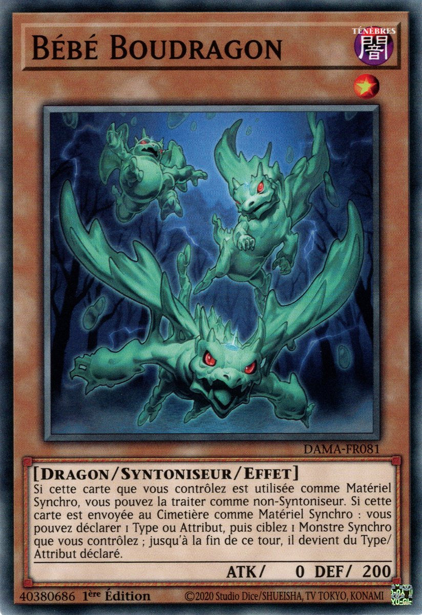 Bébé Boudragon : DAMA-FR081 C