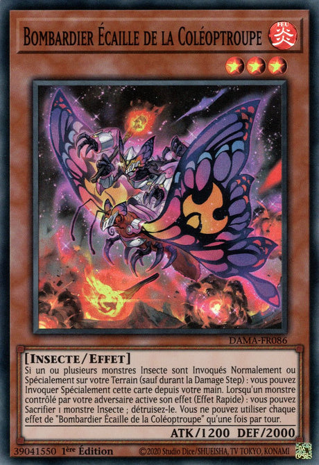 Bombardier Écaille de la Coléoptroupe : DAMA-FR086 SR