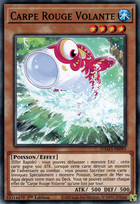 Carpe Rouge Volante : DAMA-FR093 C