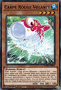 Carpe Rouge Volante : DAMA-FR093 C