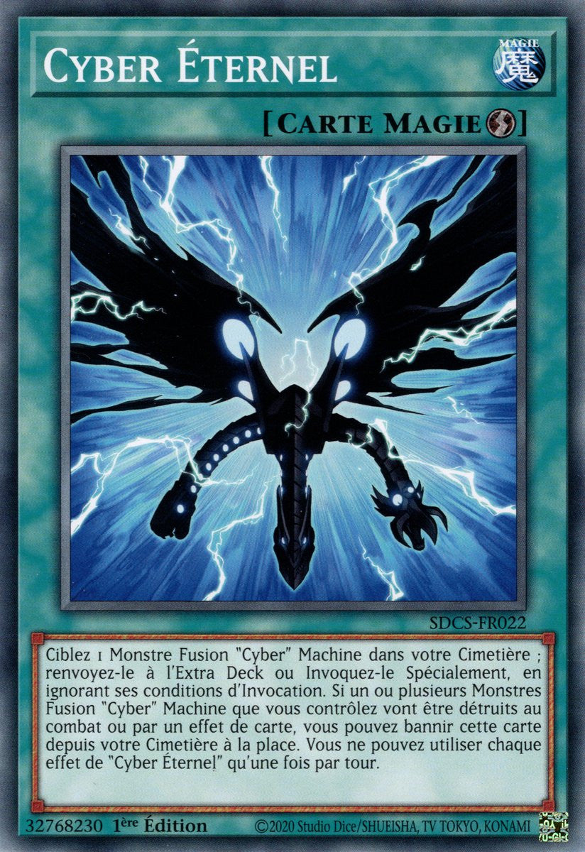 Cyber Éternel : SDCS-FR022 C