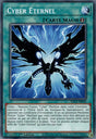 Cyber Éternel : SDCS-FR022 C