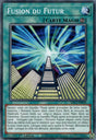 Fusion du Futur : SDCS-FR029 C
