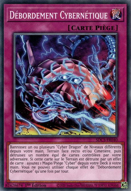 Débordement Cybernétique : SDCS-FR040 C