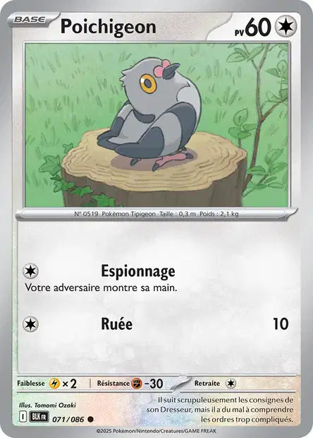 Poichigeon (BLK 071) - Foudre Noire - Carte Pokémon EV10.5