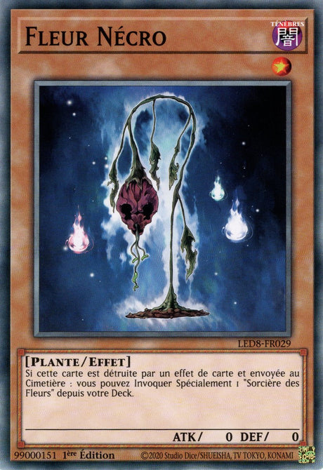 Fleur Nécro : LED8-FR029 C