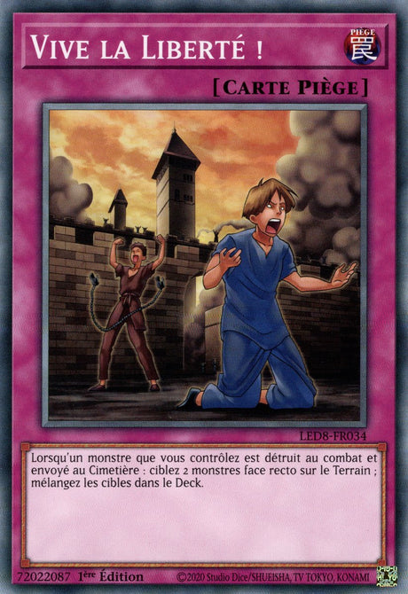 Vive la Liberté ! : LED8-FR034 C