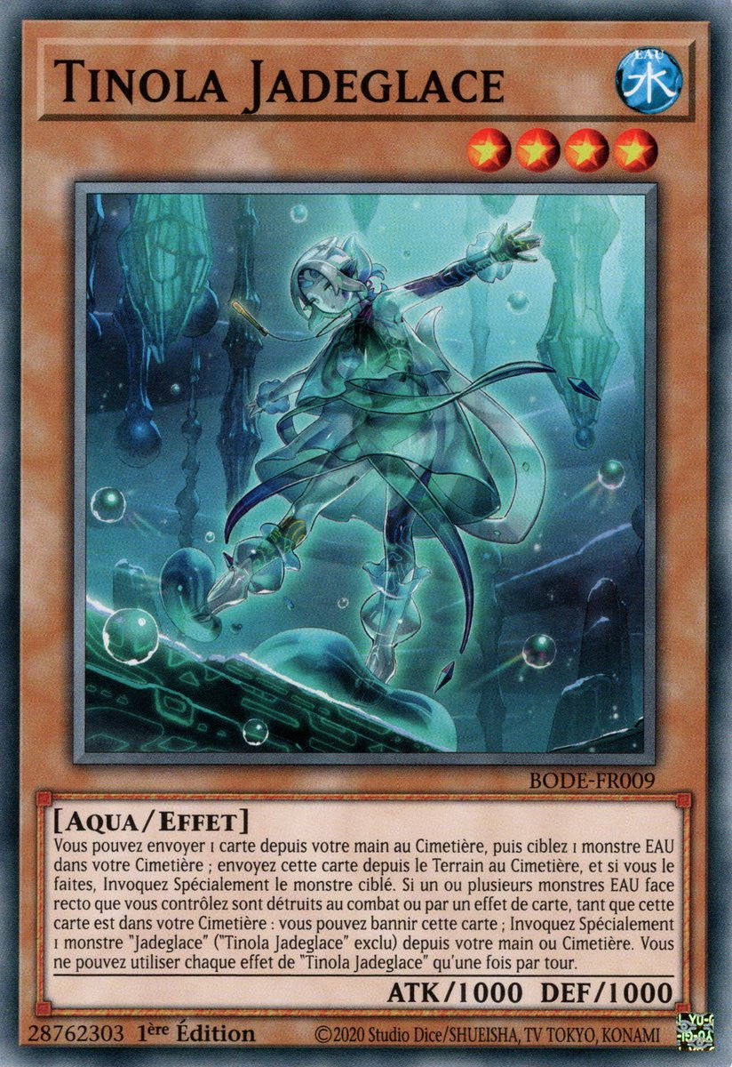 Tinola Jadeglace - BODE-FR009 C