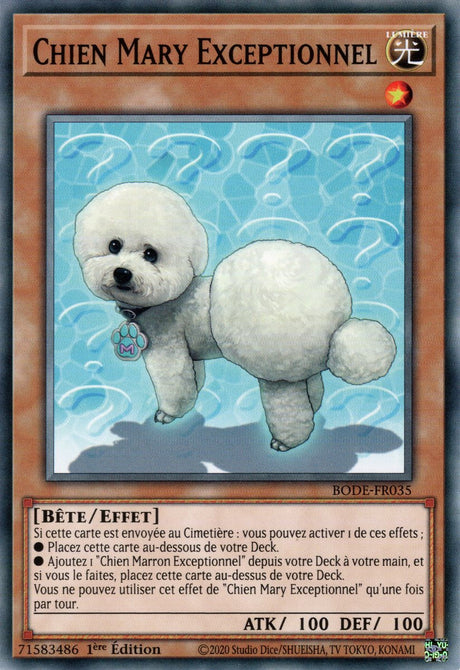 Chien Mary Exceptionnel - BODE-FR035 C