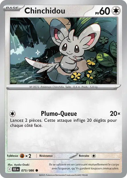 Chinchidou (BLK 075) - Foudre Noire - Carte Pokémon EV10.5