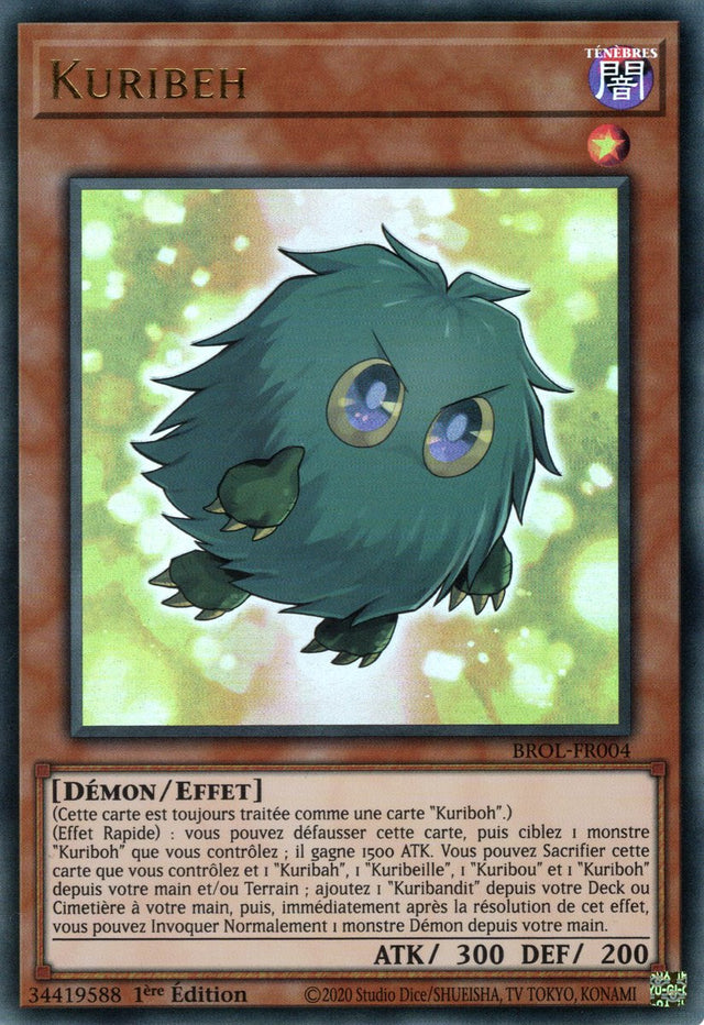 Kuribeh - BROL-FR004