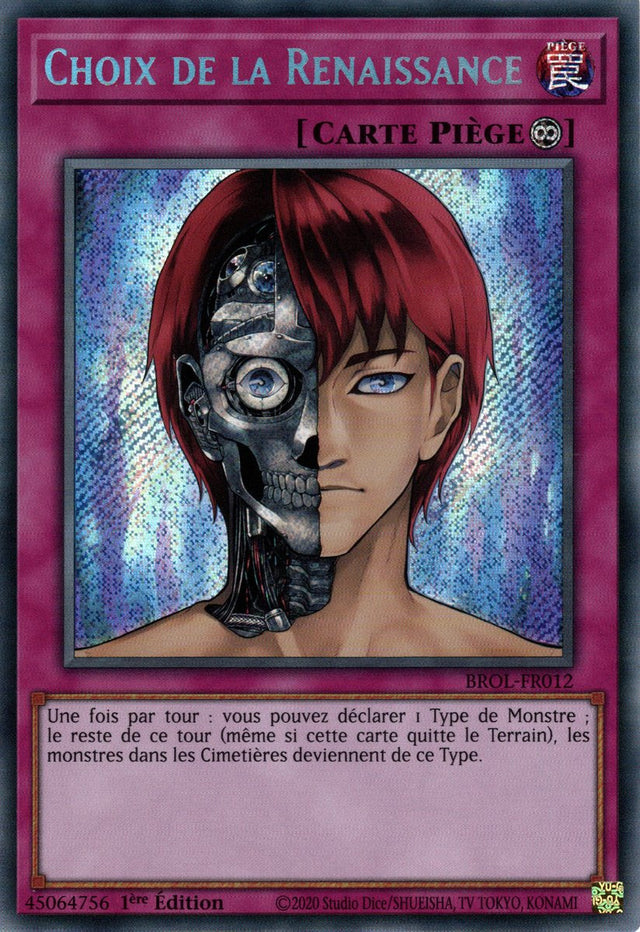 Choix de la Renaissance - BROL-FR012