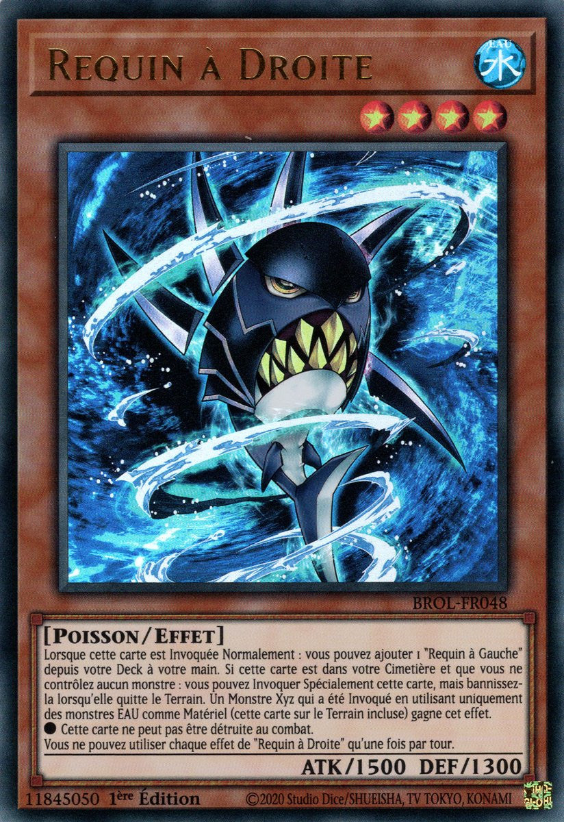 Requin à Droite - BROL-FR048