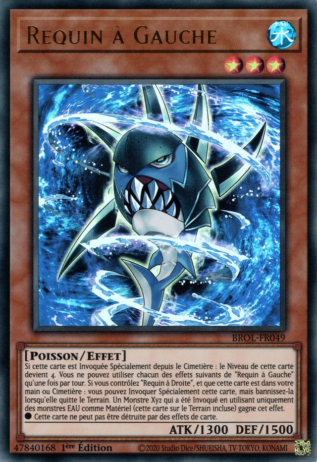 Requin à Gauche - BROL-FR049