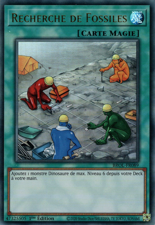 Recherche de Fossiles - BROL-FR089