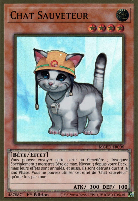 Chat Sauveteur : MGED-FR006 (V.1) (PGR)