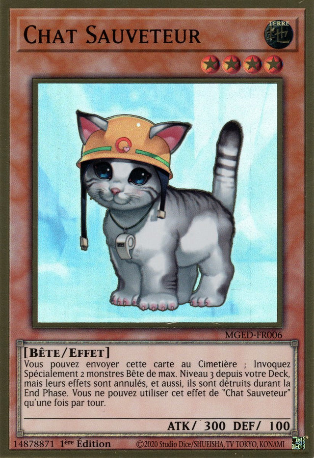 Chat Sauveteur : MGED-FR006 (V.1) (PGR)