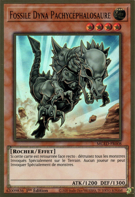 Fossile Dyna Pachycéphalosaure : MGED-FR008 (PGR)