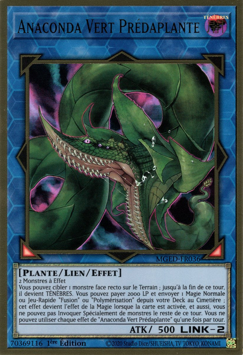 Anaconda Vert Prédaplante : MGED-FR036 (PGR)