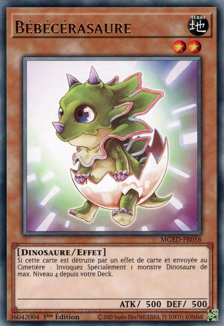 Bébécérasaure : MGED-FR056 (R)