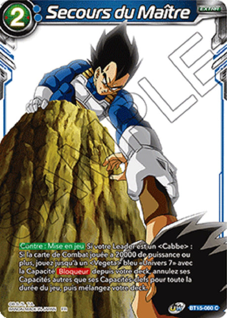 Secours du Maître : BT15-060