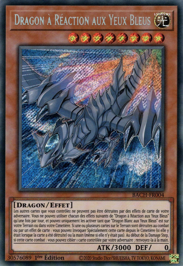 Dragon à Réaction aux Yeux Bleus : BACH-FR004 (V.1 - SE)