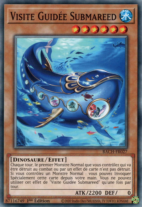 Visite Guidée Submareed : BACH-FR027 (C)