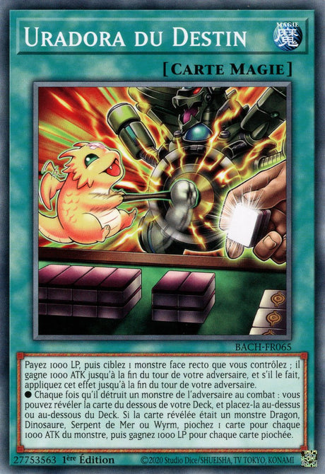 Uradora du Destin : BACH-FR065 (C)