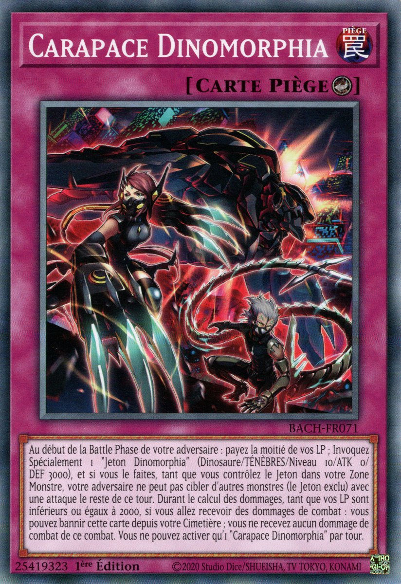 Carapace Dinomorphia : BACH-FR071 (C)