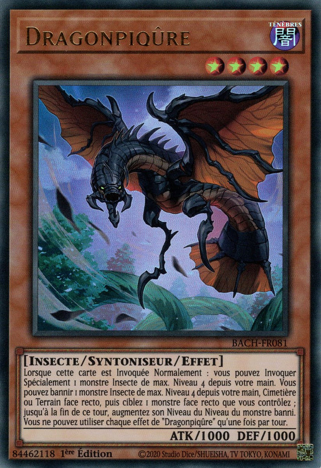 Dragonpiqûre : BACH-FR081 (UR)