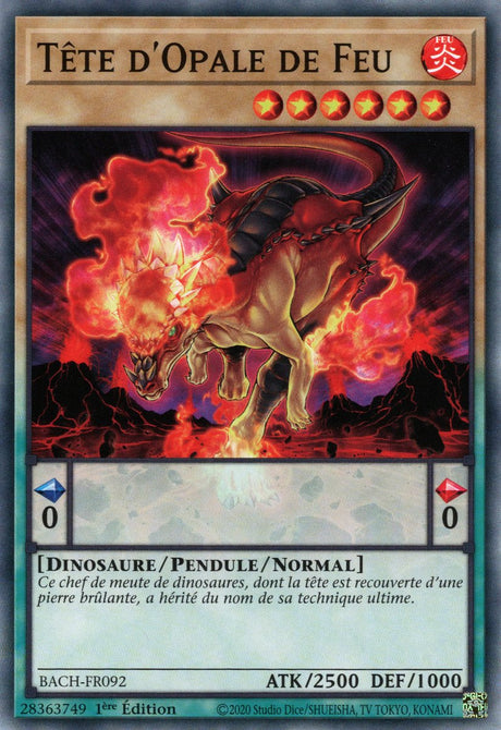 Tête d'Opale de Feu : BACH-FR092 (C)