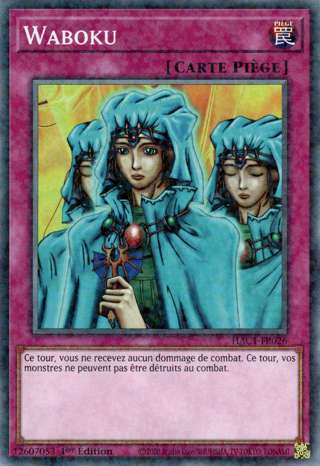 Waboku : HAC1-FR026 (V.2 - DNPR)