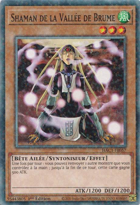 Shaman de la Vallée de Brume : HAC1-FR057 (V.2 - DNPR)