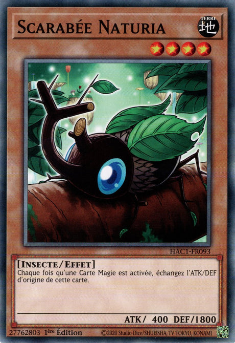Scarabée Naturia : HAC1-FR093 (V.1 - C)