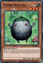 Pierre Naturia : HAC1-FR094 (V.1 - C)