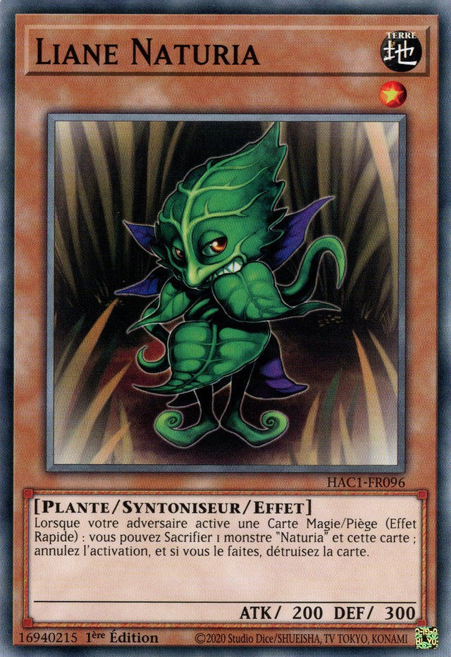 Liane Naturia : HAC1-FR096 (V.1 - C)