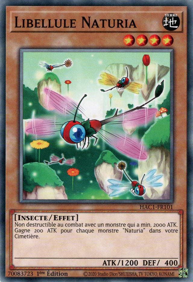Libellule Naturia : HAC1-FR101 (V.1 - C)