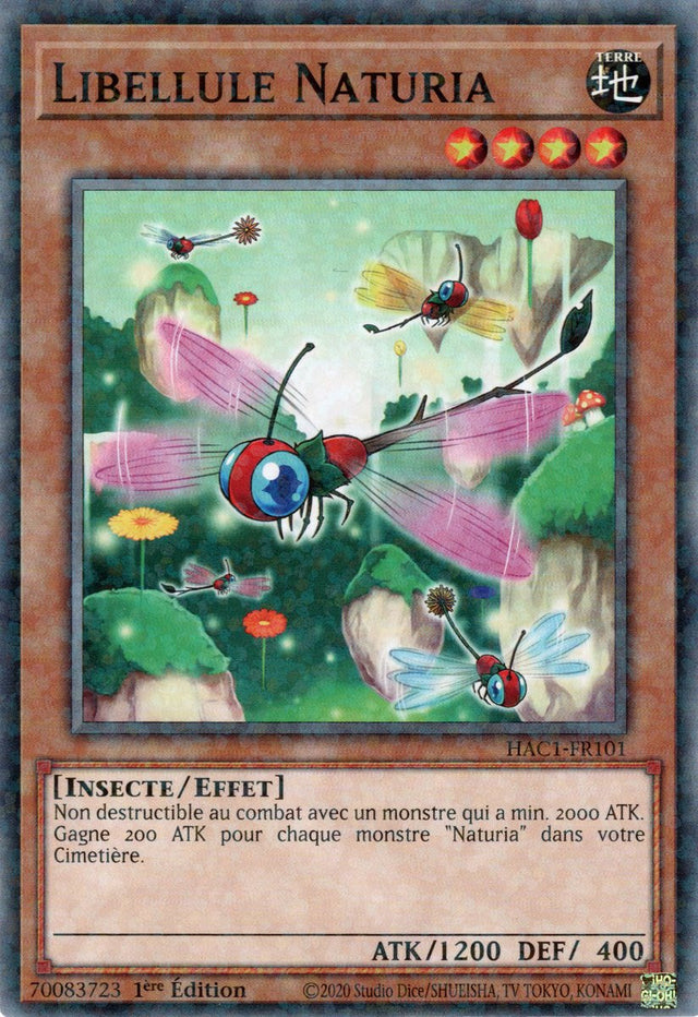 Libellule Naturia : HAC1-FR101 (V.2 - DNPR)