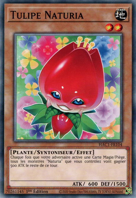 Tulipe Naturia : HAC1-FR104 (V.1 - C)