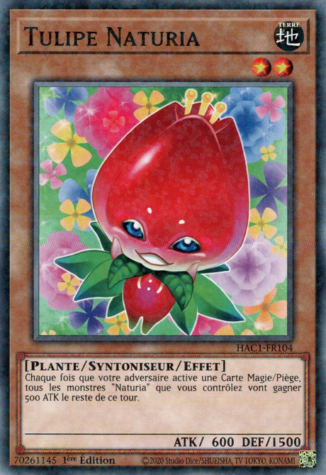 Tulipe Naturia : HAC1-FR104 (V.2 - DNPR)