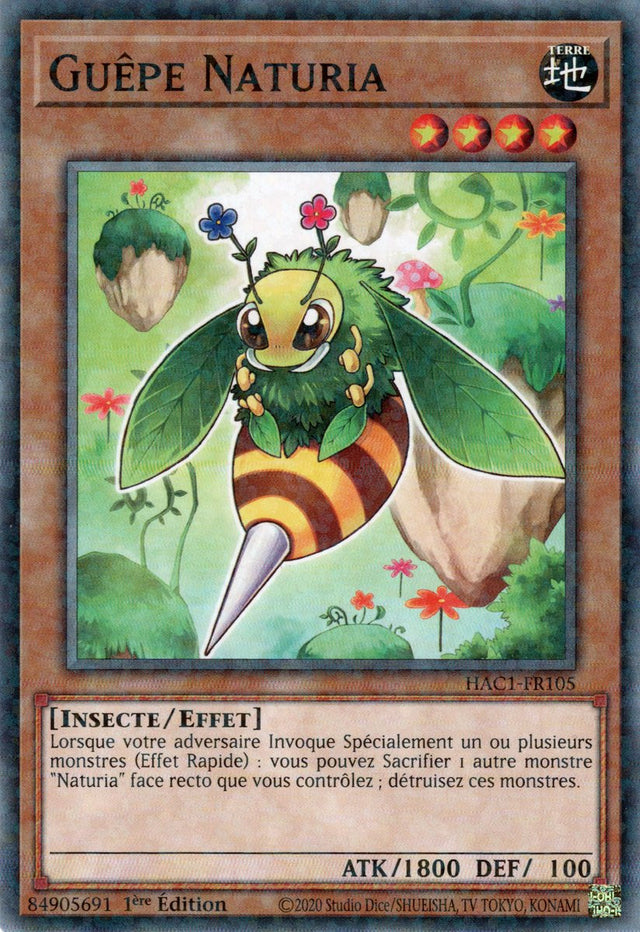 Guêpe Naturia : HAC1-FR105 (V.2 - DNPR)