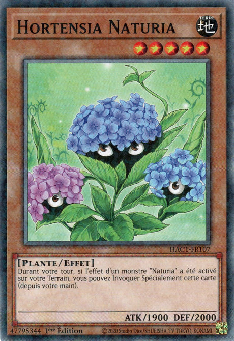 Hortensia Naturia : HAC1-FR107 (V.2 - DNPR)