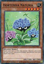 Hortensia Naturia : HAC1-FR107 (V.2 - DNPR)