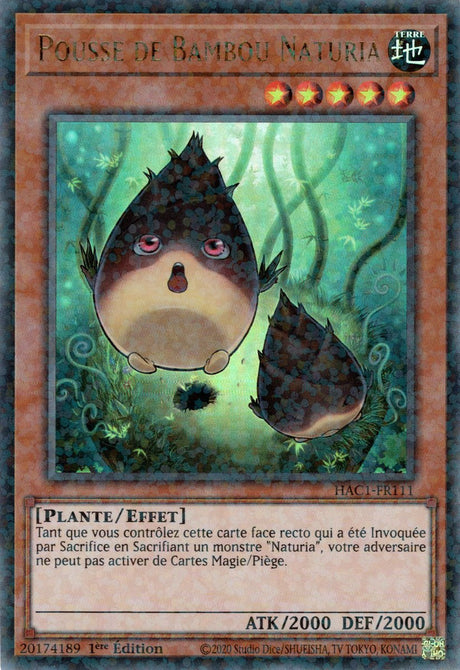 Pousse de Bambou Naturia : HAC1-FR111 (DUPR)