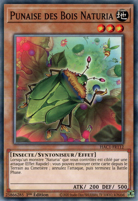 Punaise des Bois Naturia : HAC1-FR112 (V.1 - C)