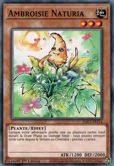 Ambroisie Naturia : HAC1-FR114 (V.1 - C)