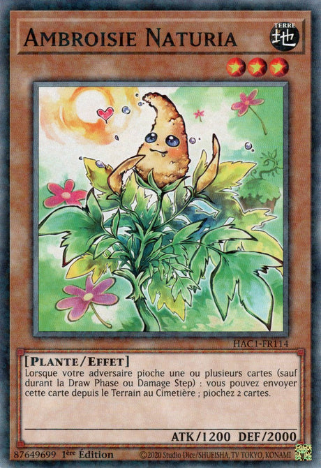 Ambroisie Naturia : HAC1-FR114 (V.2 - DNPR)