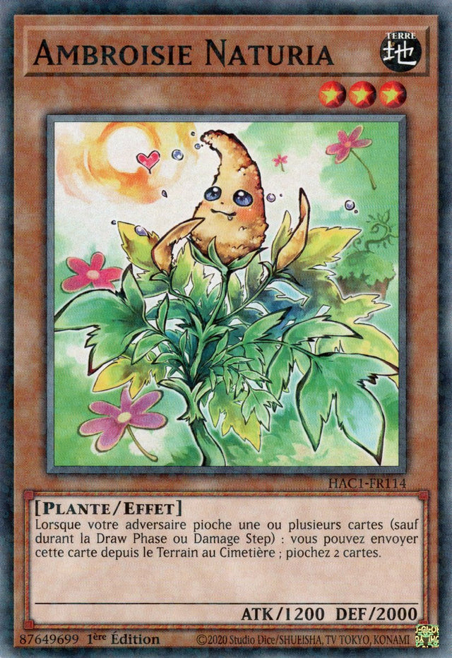 Ambroisie Naturia : HAC1-FR114 (V.2 - DNPR)