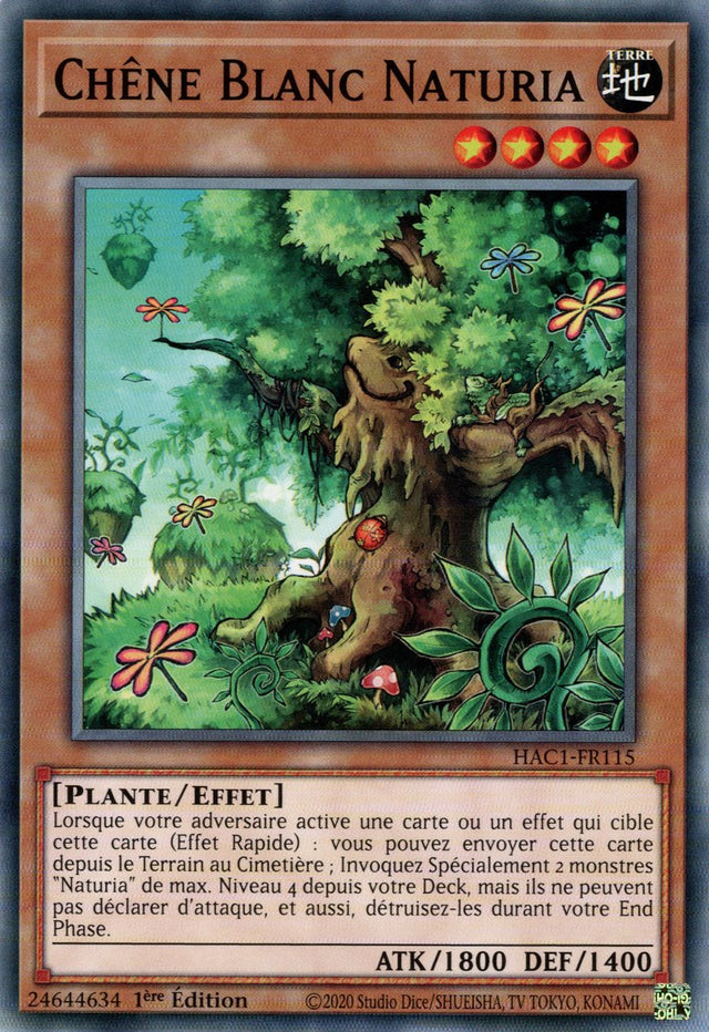 Chêne Blanc Naturia : HAC1-FR115 (V.1 - C)